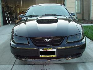 Mustang2 058.JPG